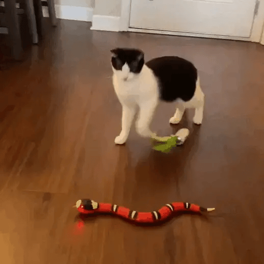 Giocattolo intelligente a forma di serpente per gatti
