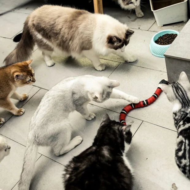 Giocattolo intelligente a forma di serpente per gatti